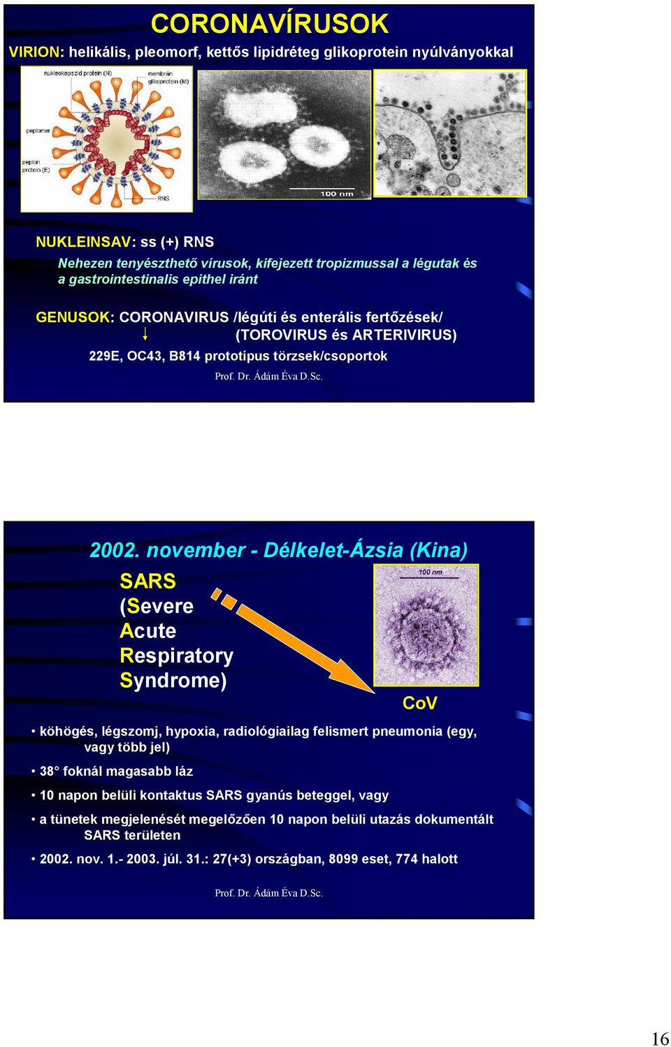 november - Délkelet-Ázsia (Kina) SARS (Severe Acute Respiratory Syndrome) köhögés, légszomj, hypoxia, radiológiailag felismert pneumonia (egy, vagy több jel) 38 foknál magasabb láz 10