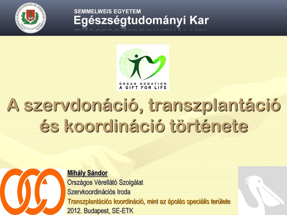 koordináció, mint az ápolás speciális területe 2012.