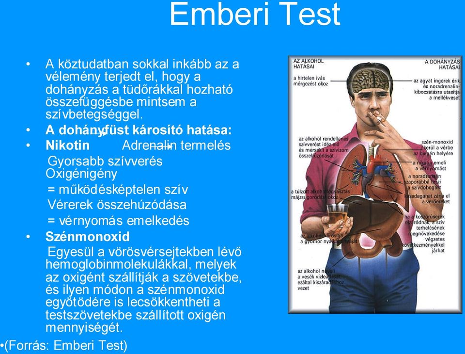 vérnyomás emelkedés Szénmonoxid Egyesül a vörösvérsejtekben lévő hemoglobinmolekulákkal, melyek az oxigént szállítják a szövetekbe, és