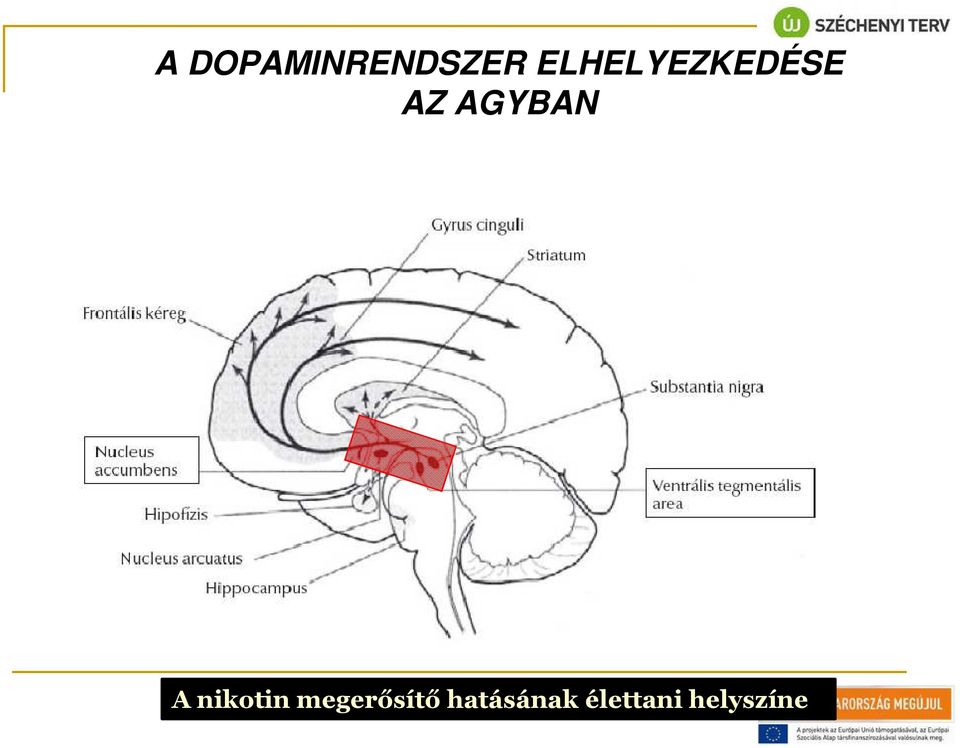 AGYBAN A nikotin