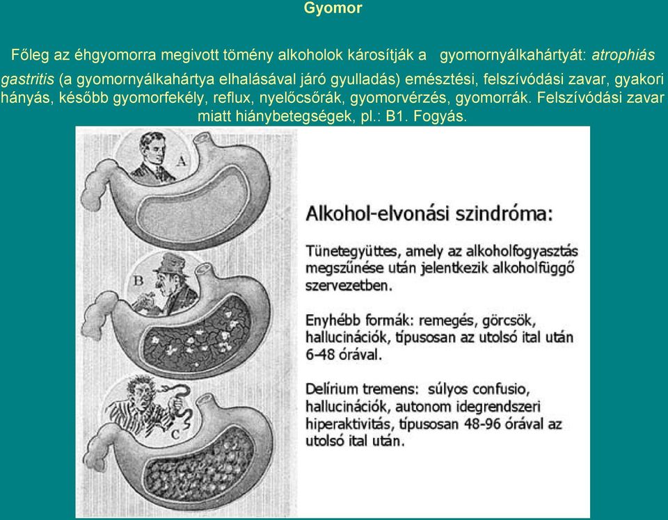 gyulladás) emésztési, felszívódási zavar, gyakori hányás, később gyomorfekély,