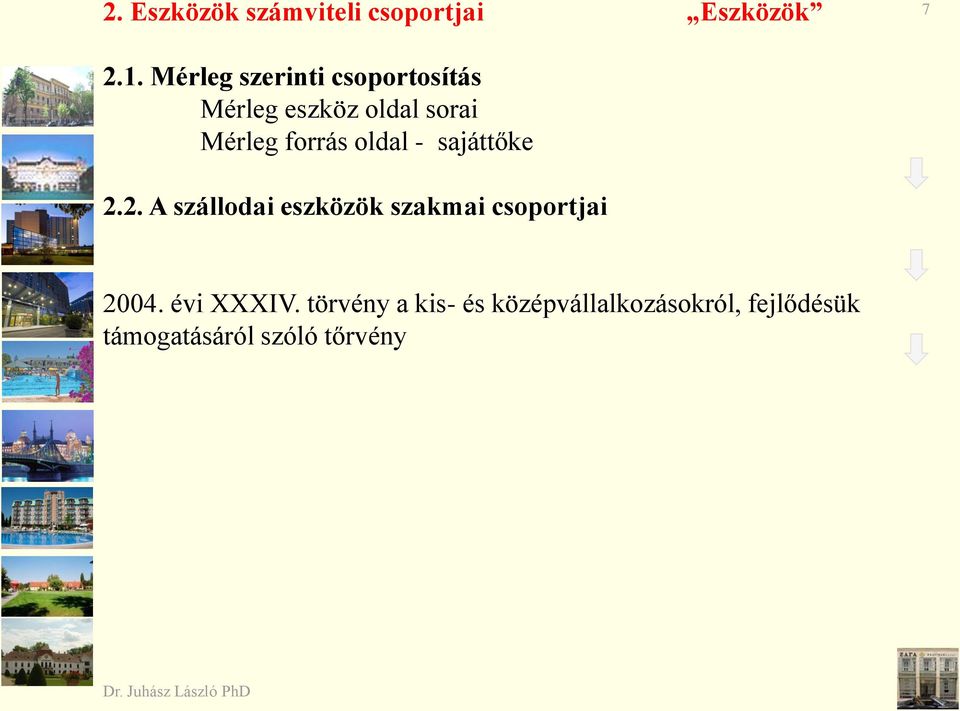 oldal - sajáttőke 2.2. A szállodai eszközök szakmai csoportjai 2004.