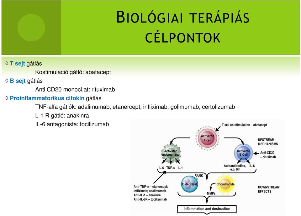 at: rituximab Proinflammatorikus citokin gátlás TNF-alfa gátlók: