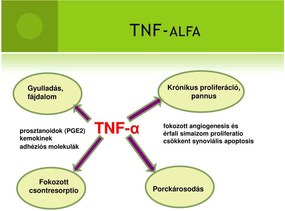 fokozott angiogenesis és érfali simaizom proliferatio