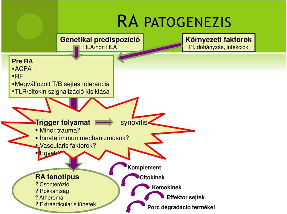 dohányzás, infekciók Trigger folyamat Minor trauma? Innate immun mechanizmusok? Vascularis faktorok?