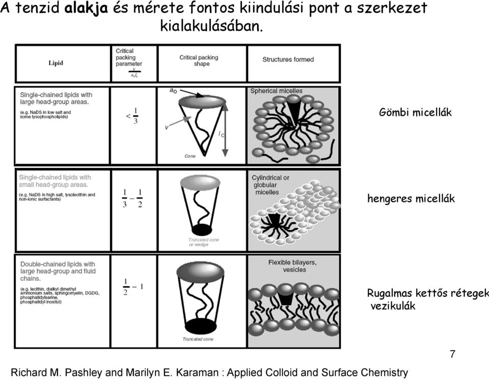 Gömbi micellák hengeres micellák Rugalmas kettős rétegek