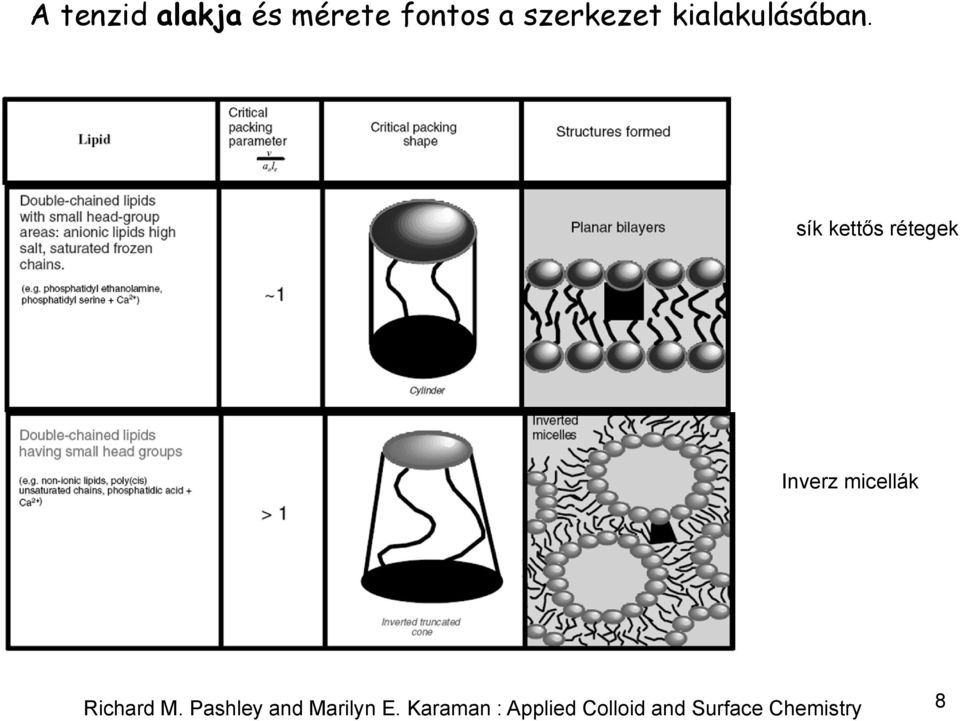 sík kettős rétegek Inverz micellák Richard M.