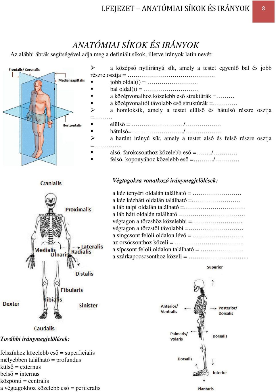 / a haránt irányú sík, amely a testet alsó és fels részre osztja =.. alsó, farokcsonthoz közelebb es =../ fels, koponyához közelebb es =.