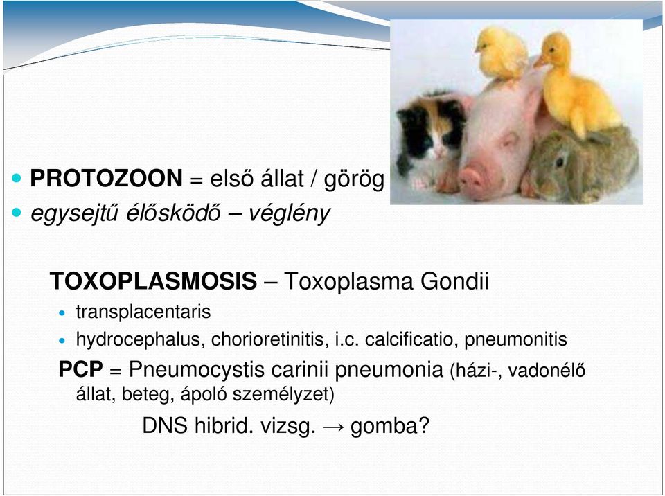 chorioretinitis, i.c. calcificatio, pneumonitis PCP = Pneumocystis