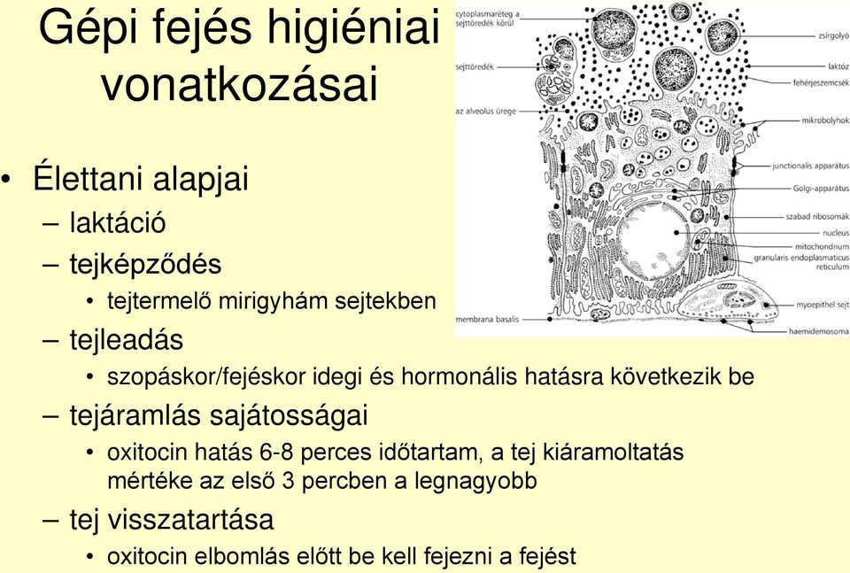 be tejáramlás sajátosságai oxitocin hatás 6-8 perces időtartam, a tej kiáramoltatás