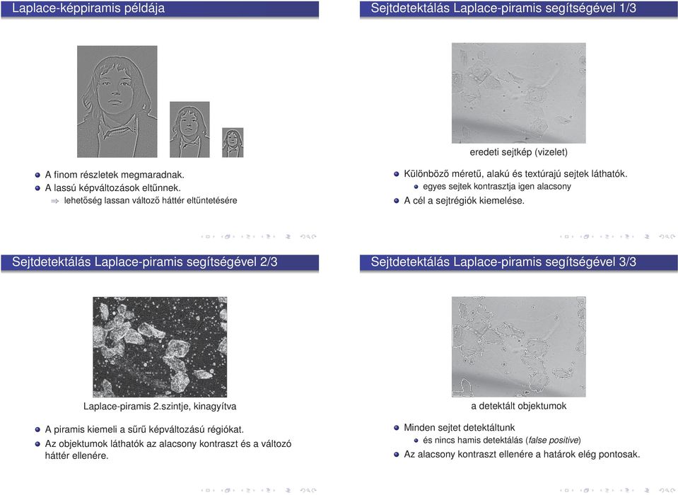 Sejtdetektálás Laplace-piramis segítségével 2/3 Sejtdetektálás Laplace-piramis segítségével 3/3 Laplace-piramis 2.szintje, kinagyítva A piramis kiemeli a sűrű képváltozású régiókat.