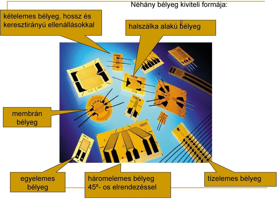 halszálka alakú bélyeg membrán bélyeg egyelemes