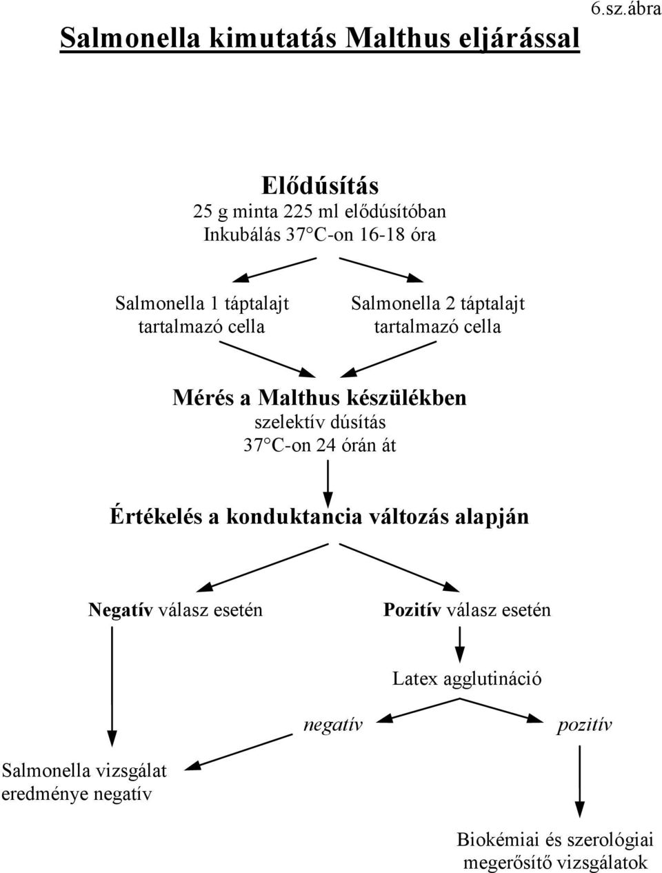 Salmonella 2 táptalajt tartalmazó cella Mérés a Malthus készülékben szelektív dúsítás 37 C-on 24 órán át Értékelés a