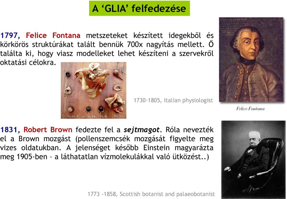 1730-1805, Italian physiologist 1831, Robert Brown fedezte fel a sejtmagot.