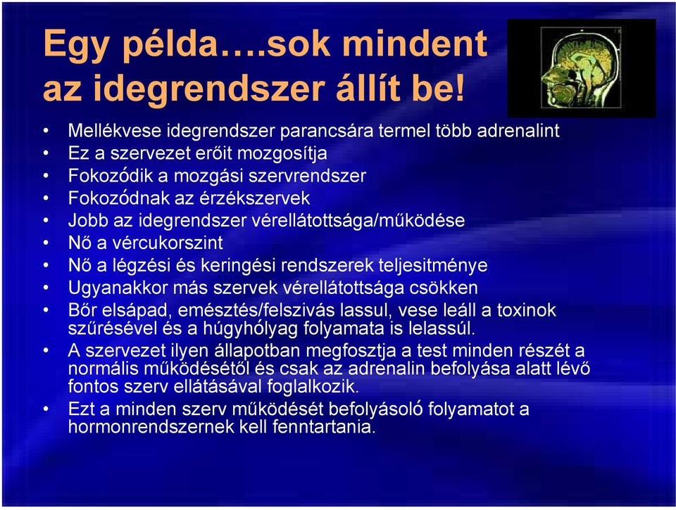 vérellátottsága/működése Nő a vércukorszint Nő a légzési és keringési rendszerek teljesitménye Ugyanakkor más szervek vérellátottsága csökken Bőr elsápad, emésztés/felszivás lassul,