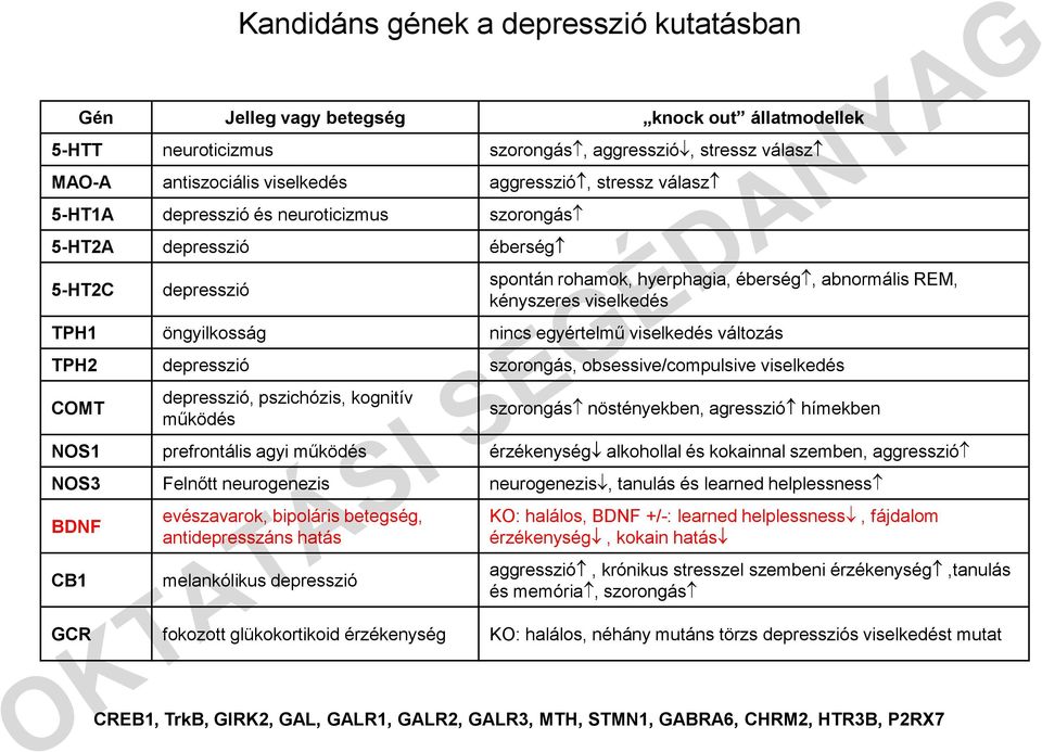 depresszió szorongás, obsessive/compulsive viselkedés COMT depresszió, pszichózis, kognitív működés szorongás nöstényekben, agresszió hímekben NOS1 prefrontális agyi működés érzékenység alkohollal és