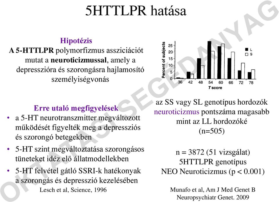 elő állatmodellekben 5-HT felvétel gátló SSRI-k hatékonyak a szorongás és depresszió kezelésében Lesch et al, Science, 1996 az SS vagy SL genotípus hordozók