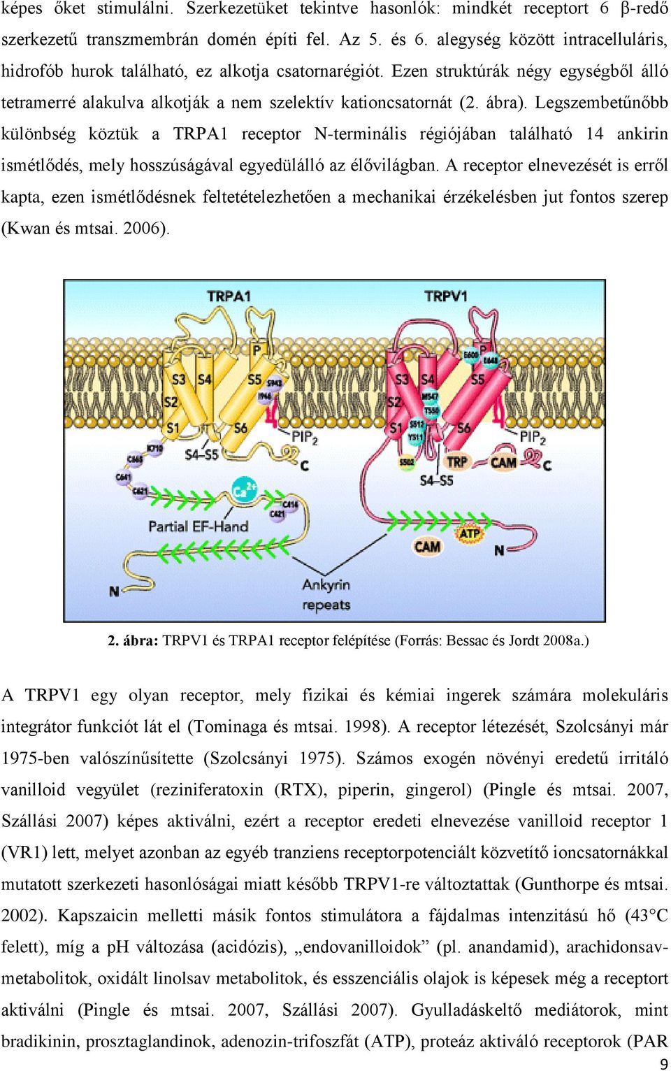 Legszembetűnőbb különbség köztük a TRPA1 receptor N-terminális régiójában található 14 ankirin ismétlődés, mely hosszúságával egyedülálló az élővilágban.