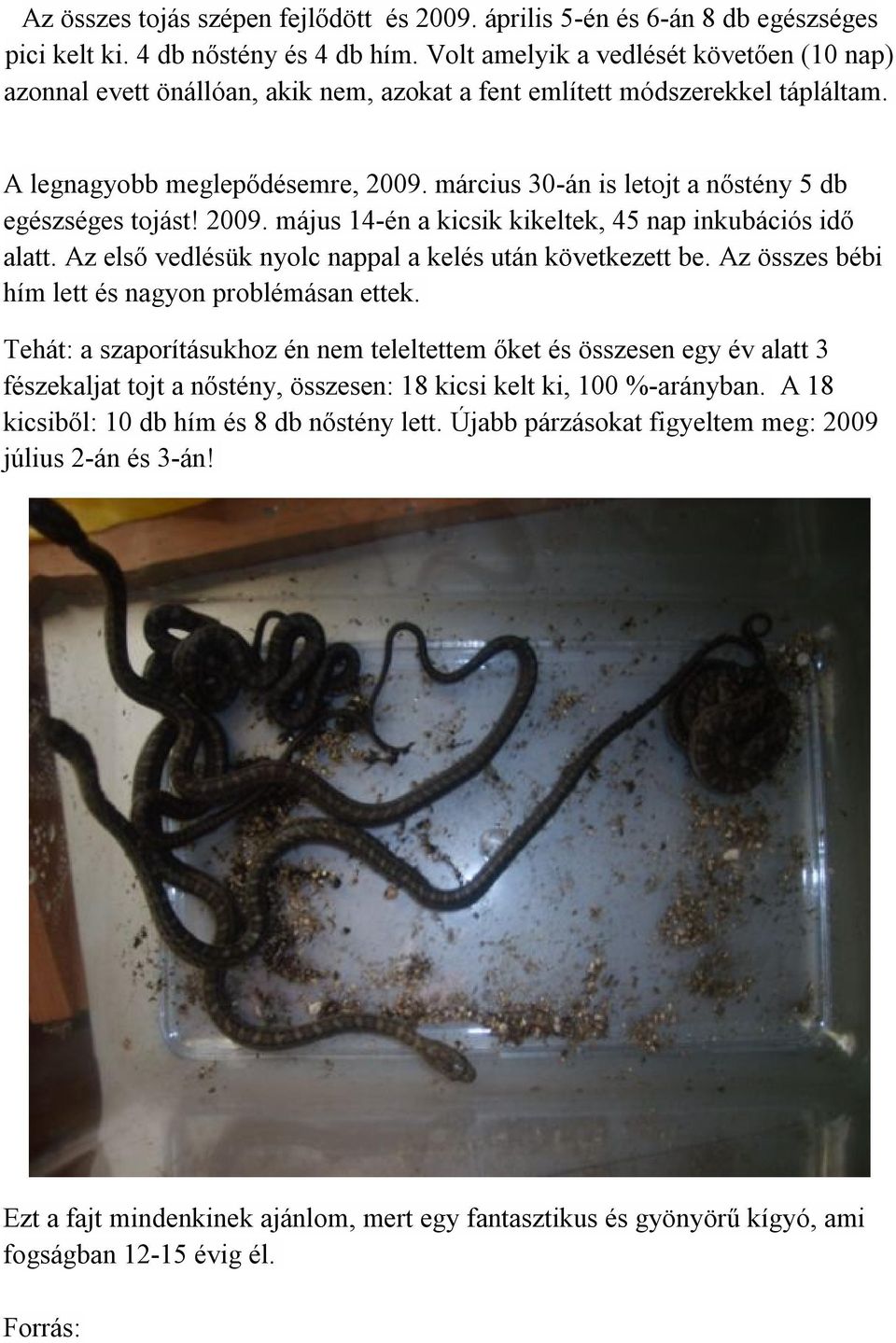 március 30-án is letojt a nőstény 5 db egészséges tojást! 2009. május 14-én a kicsik kikeltek, 45 nap inkubációs idő alatt. Az első vedlésük nyolc nappal a kelés után következett be.