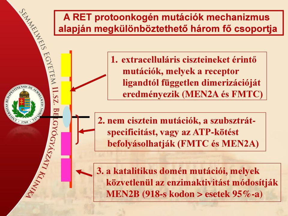 eredményezik (MEN2A és FMTC) 2.