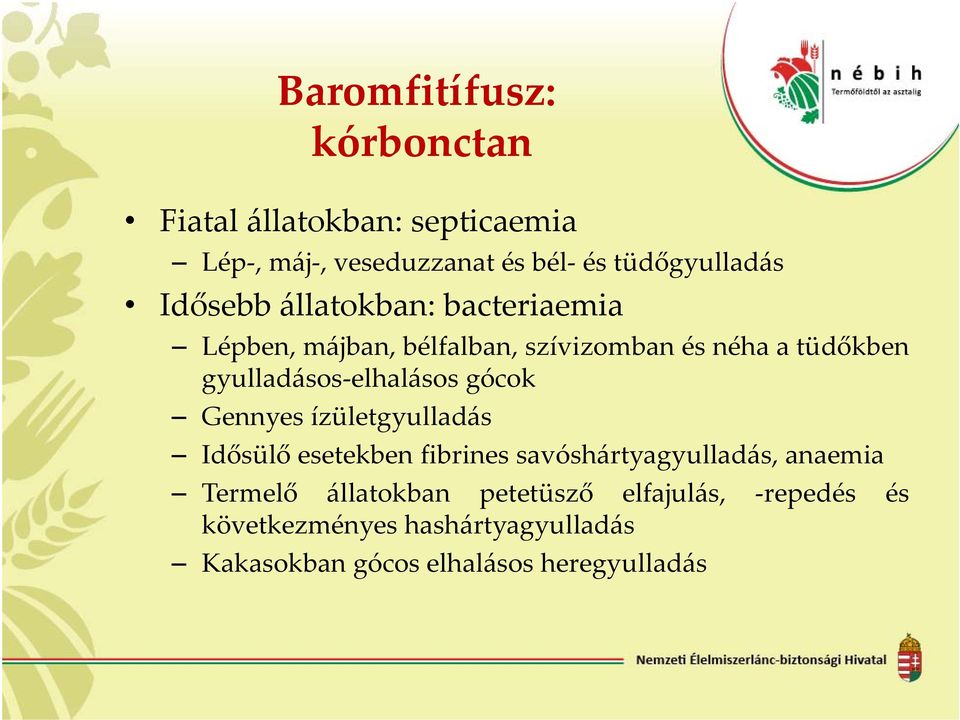 elhalásos gócok Gennyes ízületgyulladás Idősülő esetekben fibrines savóshártyagyulladás, anaemia Termelő