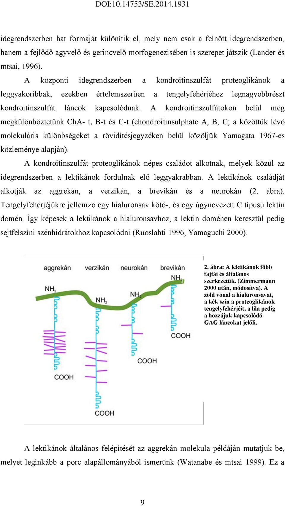 A kondroitinszulfátokon belül még megkülönböztetünk ChA- t, B-t és C-t (chondroitinsulphate A, B, C; a közöttük lévő molekuláris különbségeket a rövidítésjegyzéken belül közöljük Yamagata 1967-es