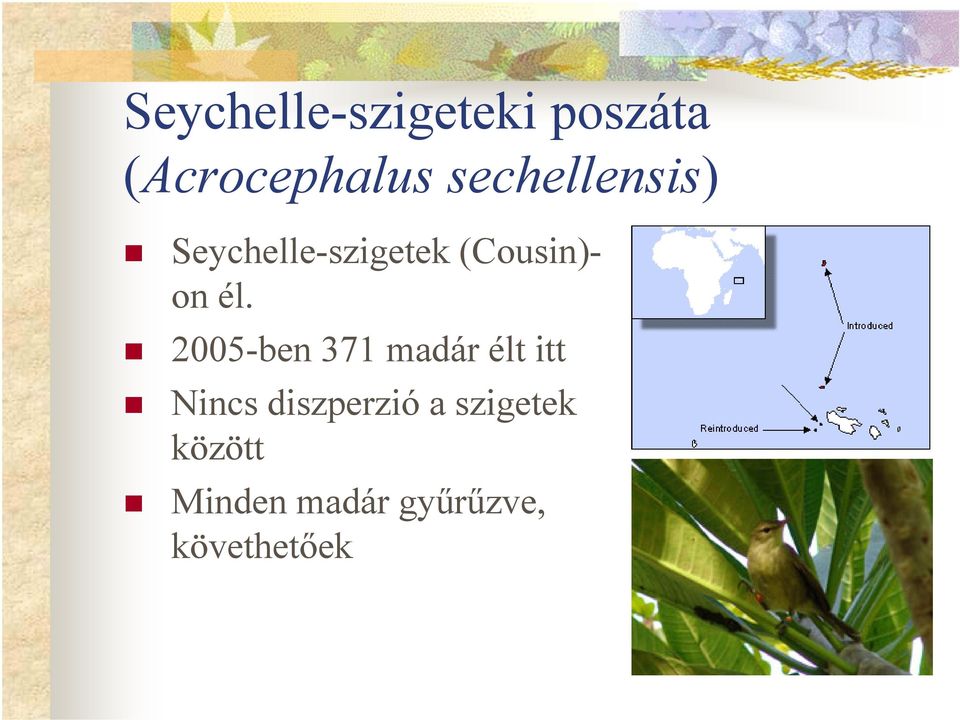 él. 2005-ben 371 madár élt itt Nincs