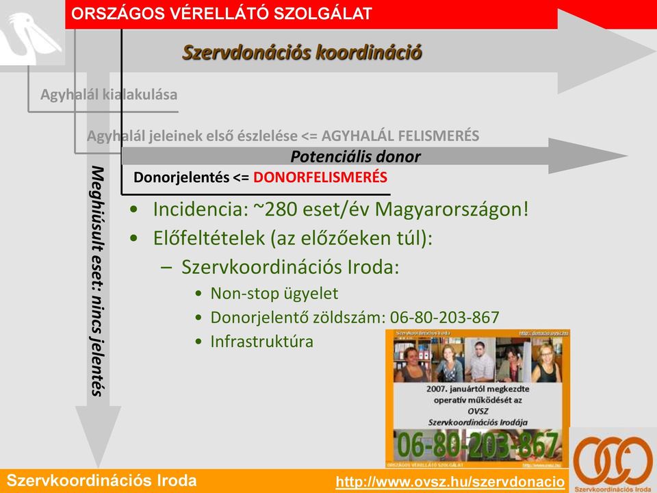 Donorjelentés <= DONORFELISMERÉS Incidencia: ~280 eset/év Magyarországon!