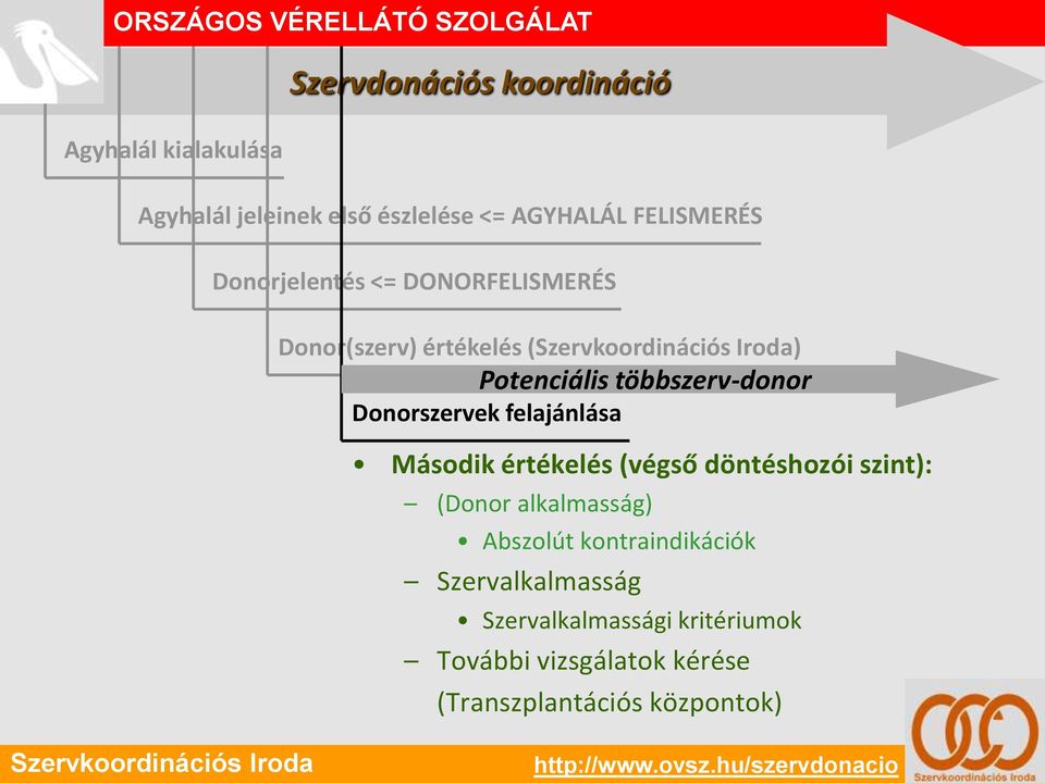 Donorszervek felajánlása Második értékelés (végső döntéshozói szint): (Donor alkalmasság) Abszolút