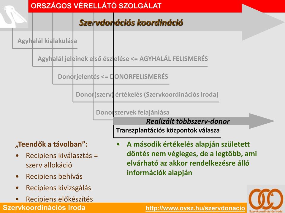 DONORFELISMERÉS Donor(szerv) értékelés () Donorszervek felajánlása Realizált többszerv-donor Transzplantációs központok