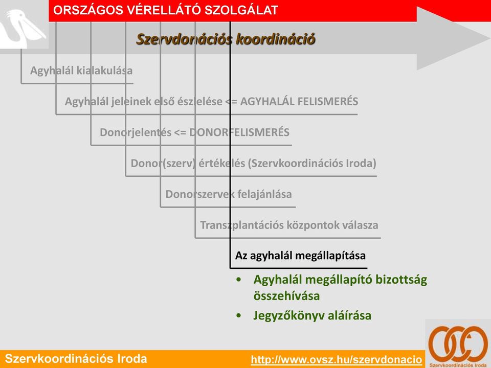 Donor(szerv) értékelés () Donorszervek felajánlása Transzplantációs központok