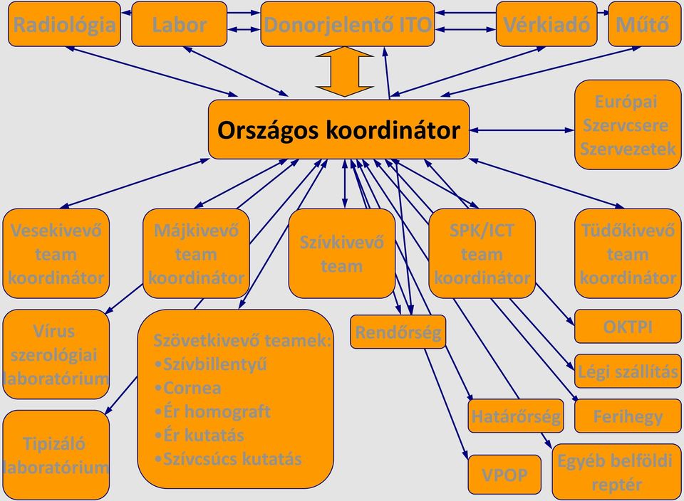 team koordinátor Vírus szerológiai laboratórium Tipizáló laboratórium Szövetkivevő teamek: Szívbillentyű