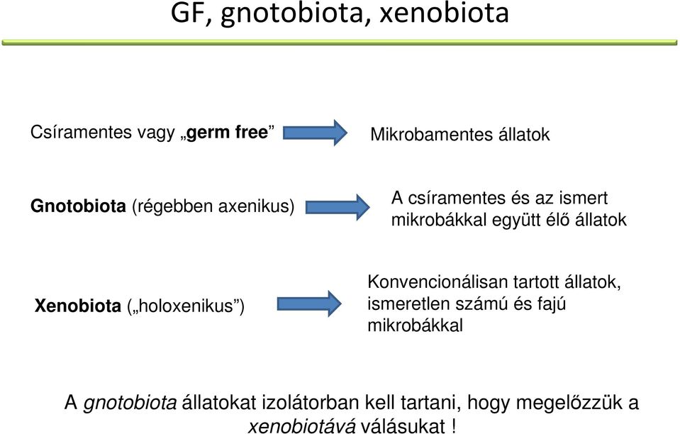 ( holoxenikus ) Konvencionálisan tartott állatok, ismeretlen számú és fajú mikrobákkal