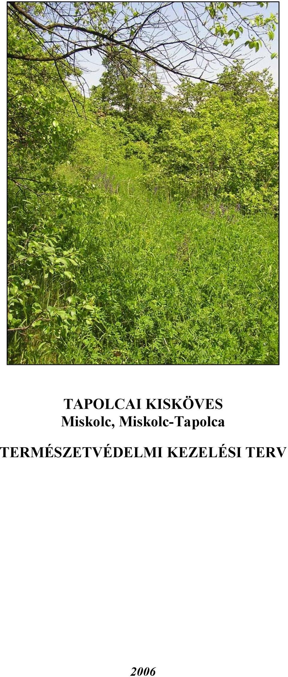 Miskolc-Tapolca