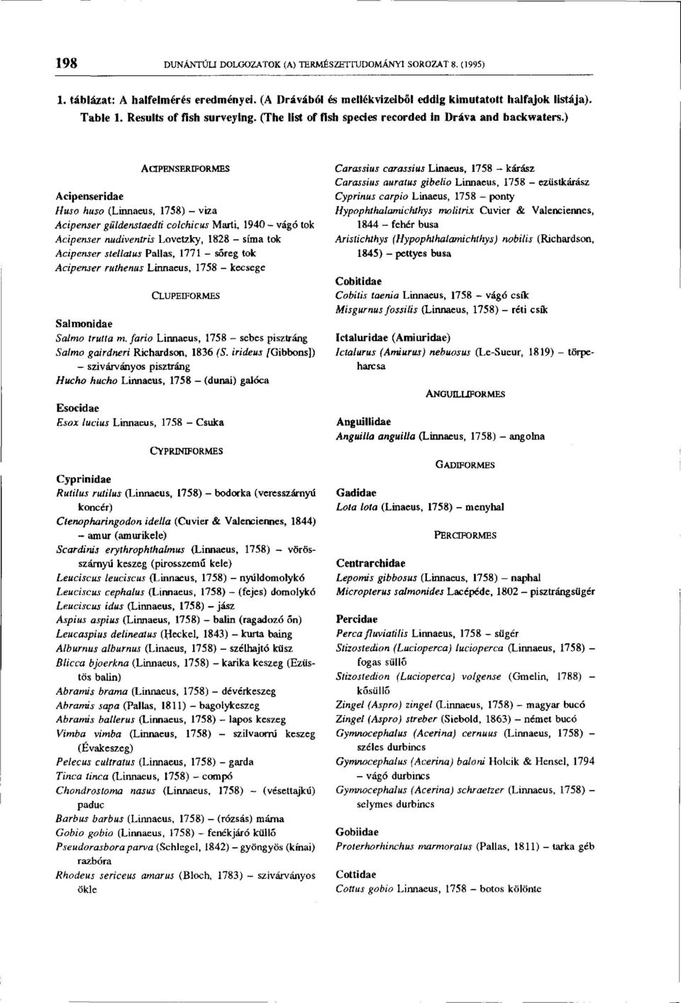 ) AOPENSERIFORMES Acipenseridae Huso huso (Linnaeus, 1758) - viza Acipenser güldenstaedti colchicus Marti, 1940 - vágó tok Acipenser nudiventris Lovetzky, 1828 - sima tok Acipenser stellatus Pallas,