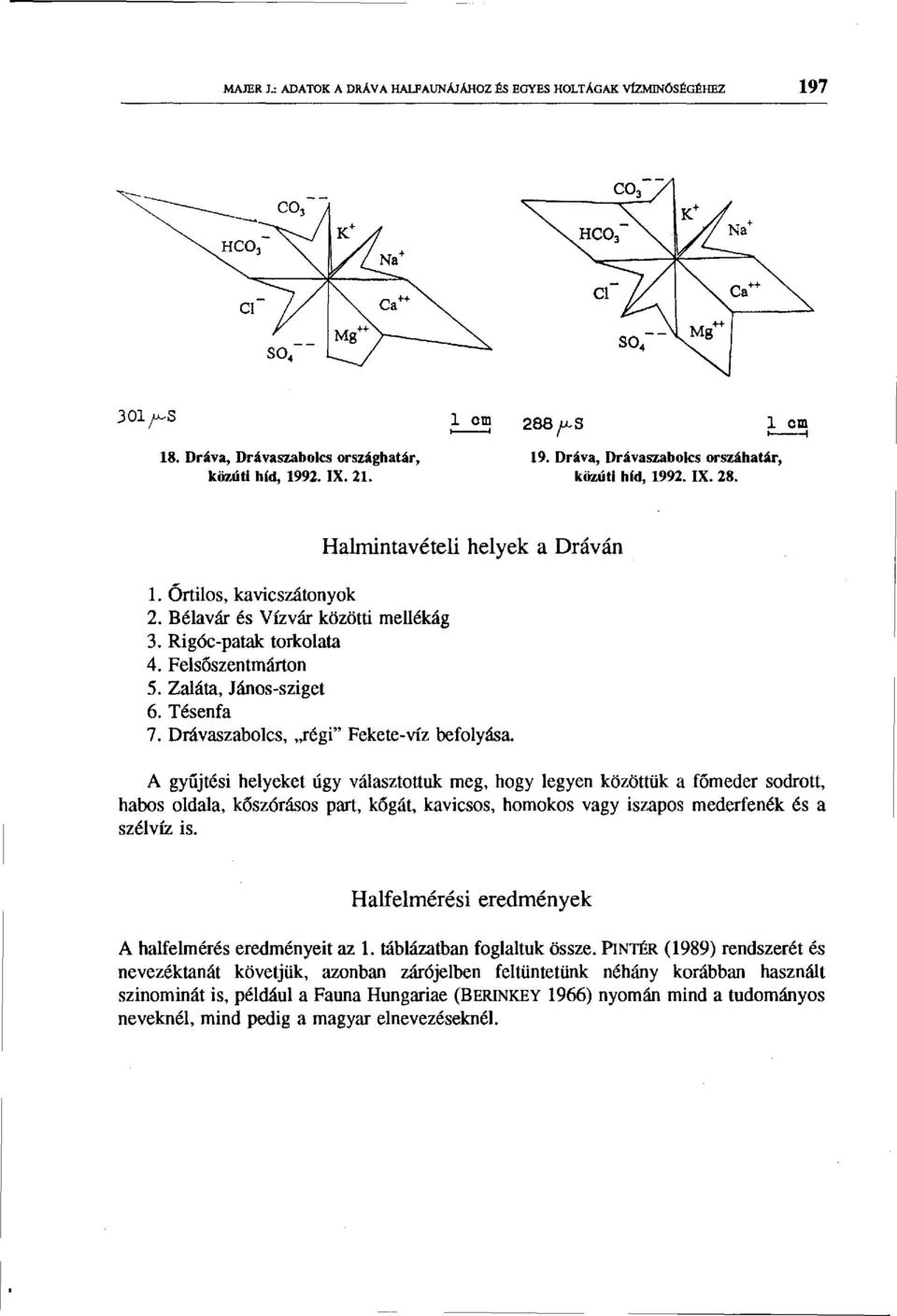 Tésenfa 7. Drávaszabolcs, régi" Fekete-víz befolyása.