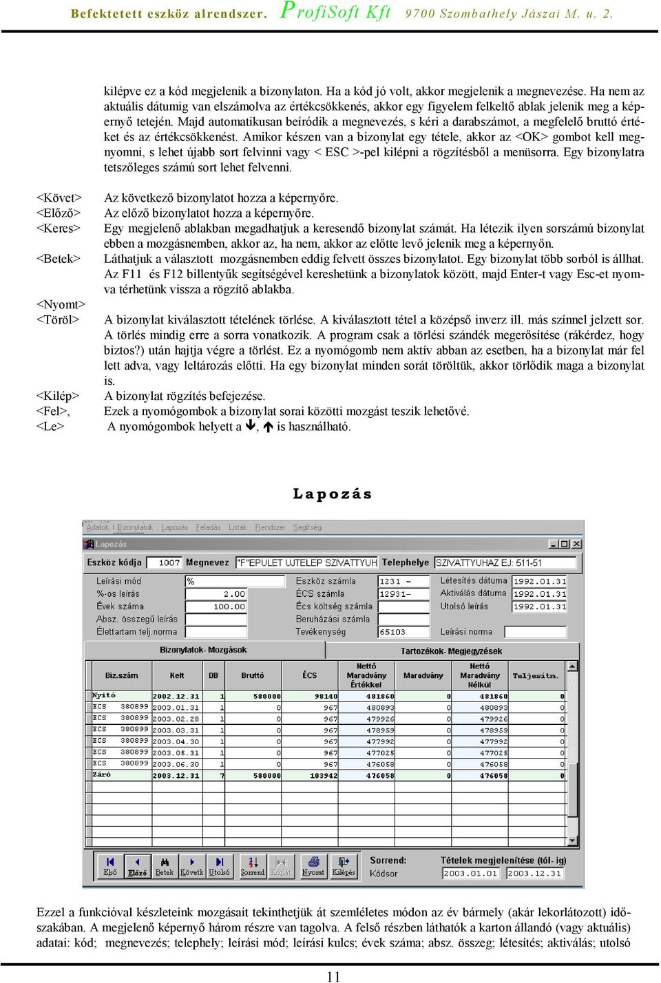 Majd automatikusan beíródik a megnevezés, s kéri a darabszámot, a megfelelő bruttó értéket és az értékcsökkenést.