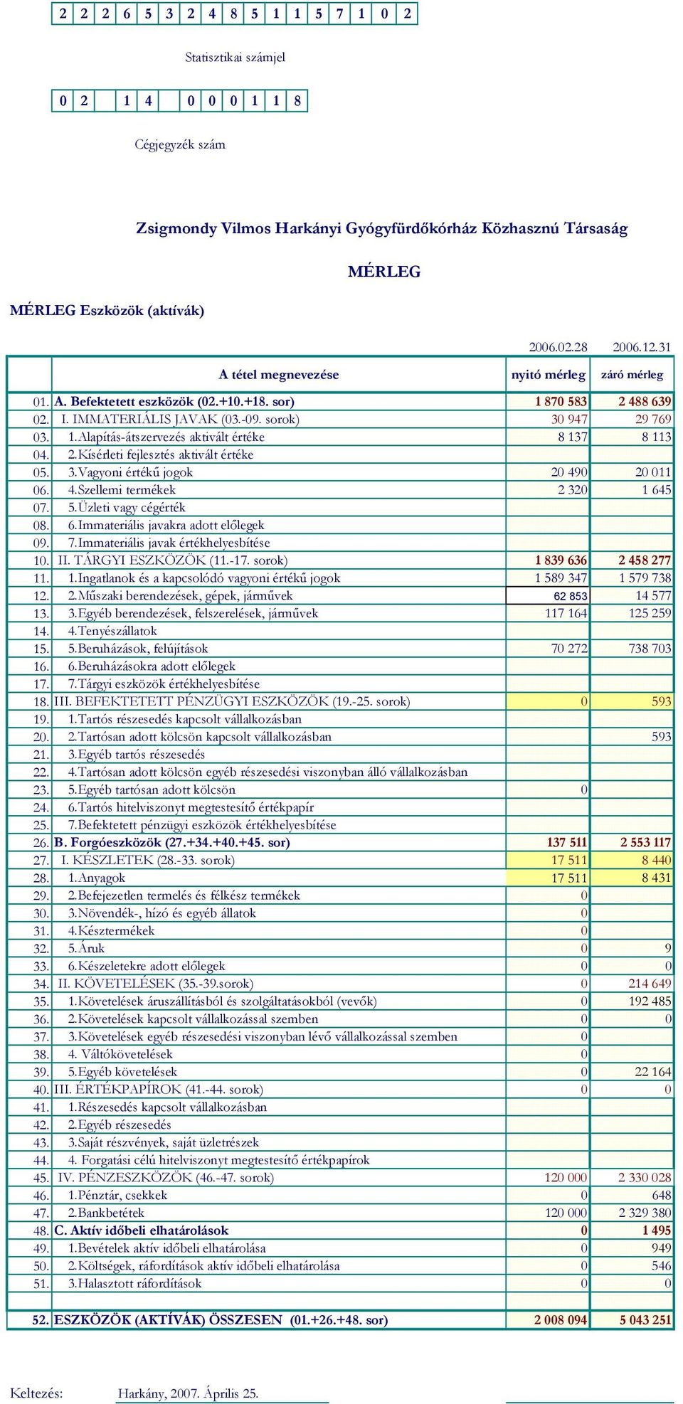 2.Kísérleti fejlesztés aktivált értéke 05. 3.Vagyoni értékű jogok 20 490 20 011 06. 4.Szellemi termékek 2 320 1 645 07. 5.Üzleti vagy cégérték 08. 6.Immateriális javakra adott előlegek 09. 7.