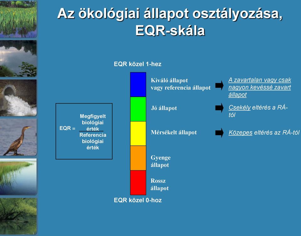 Megfigyelt biológiai érték Referencia biológiai érték Jó állapot Mérsékelt állapot