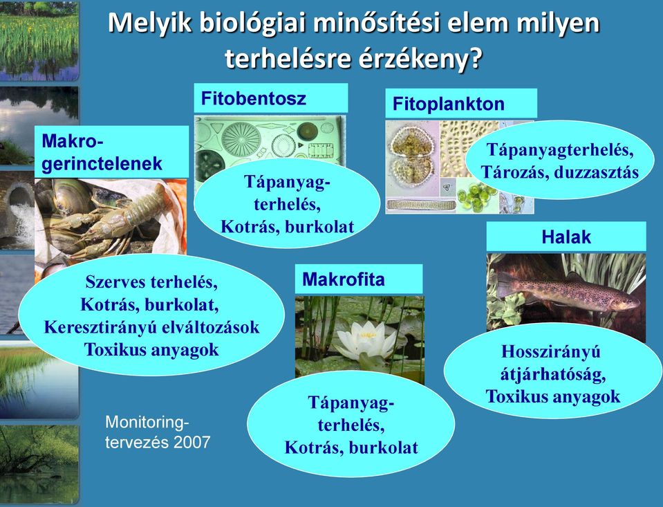 Tápanyagterhelés, Tározás, duzzasztás Halak Szerves terhelés, Kotrás, burkolat, Keresztirányú