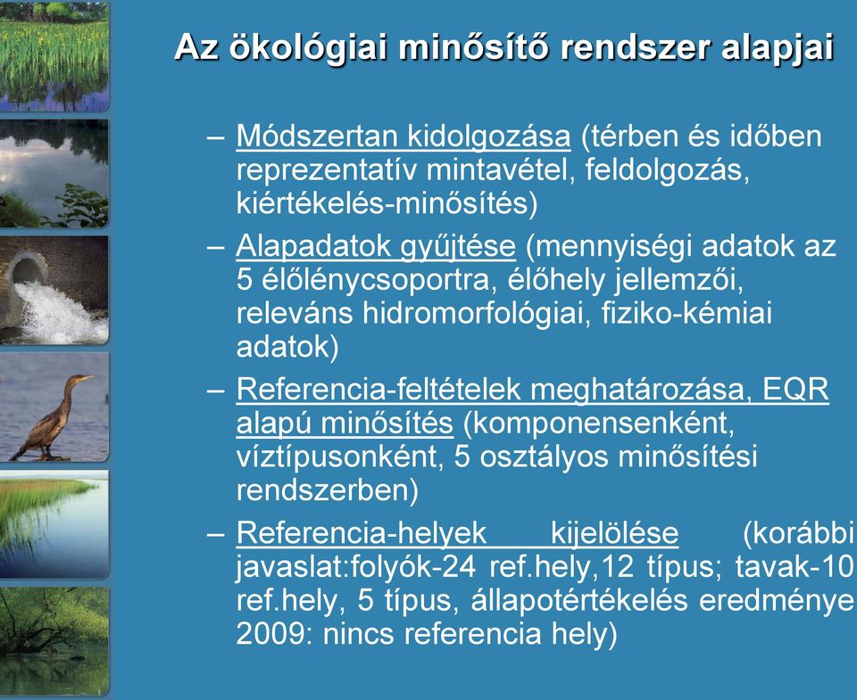 fiziko-kémiai adatok) Referencia-feltételek meghatározása, EQR alapú minősítés (komponensenként, víztípusonként, 5 osztályos minősítési