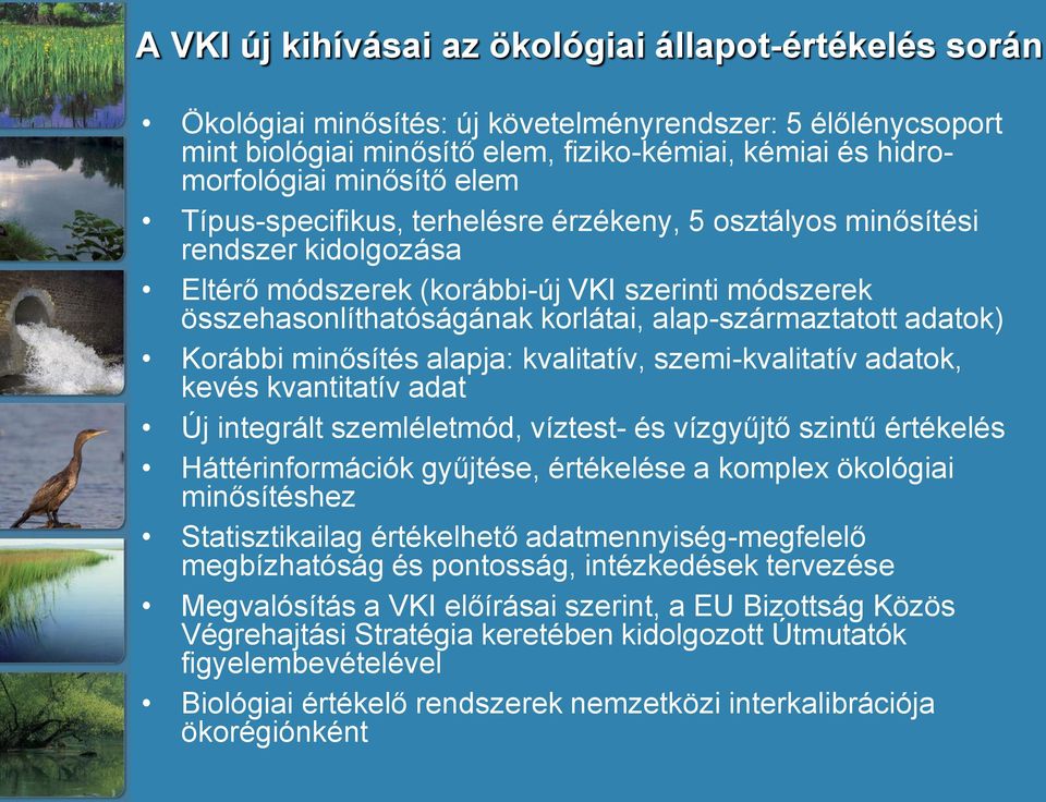 adatok) Korábbi minősítés alapja: kvalitatív, szemi-kvalitatív adatok, kevés kvantitatív adat Új integrált szemléletmód, víztest- és vízgyűjtő szintű értékelés Háttérinformációk gyűjtése, értékelése