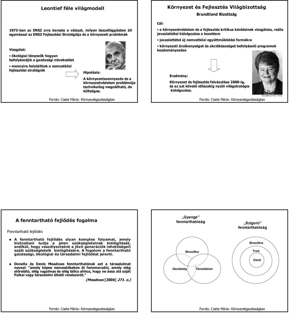 Forrás: Csete Mária: Környezetgazdaságtan Környezet és Fejlesztés Világbizottság Brundtland Bizottság Cél: a környezetvédelem és a fejlesztés kritikus kérdésinek vizsgálata, reális javaslattétel