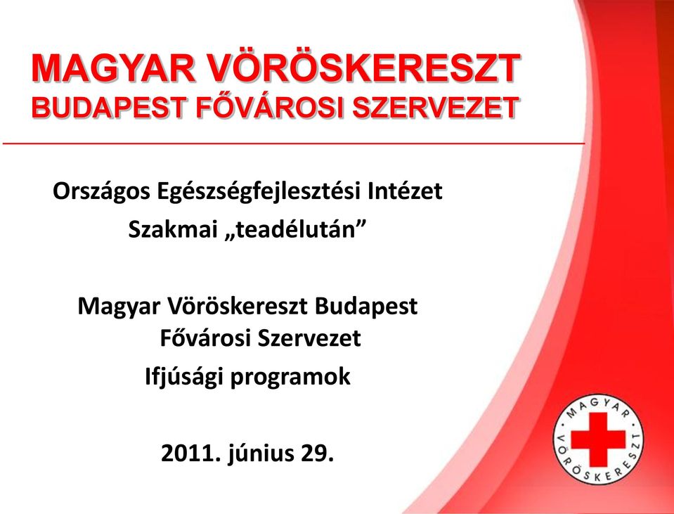 Szakmai teadélután Magyar Vöröskereszt
