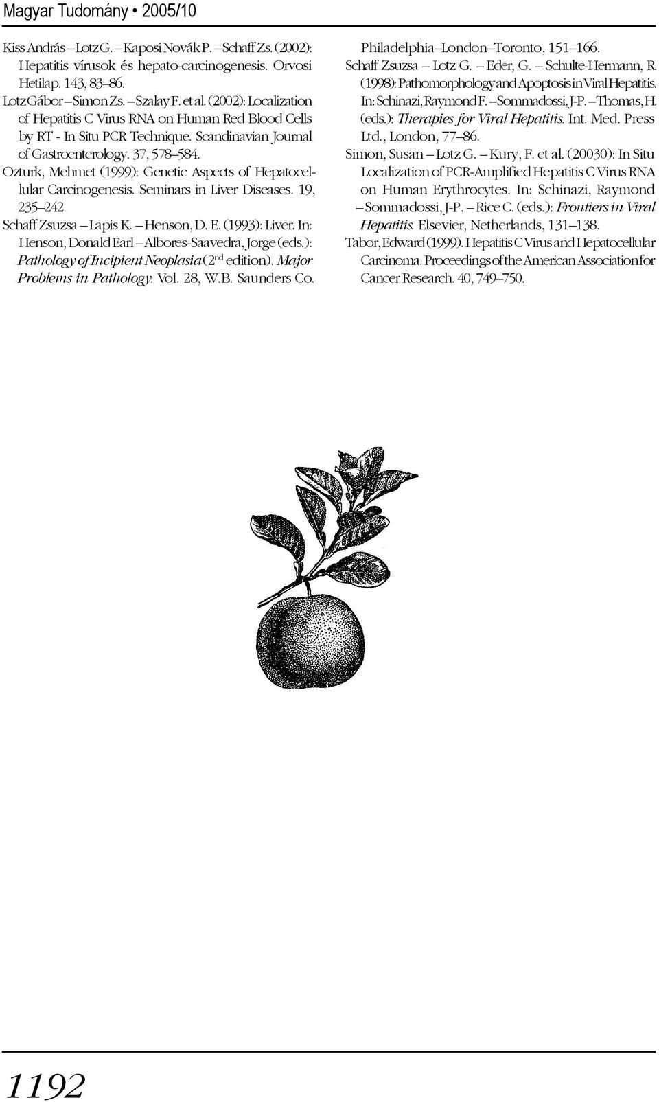 Ozturk, Mehmet (1999): Genetic Aspects of Hepatocellular Carcinogenesis. Seminars in Liver Diseases. 19, 235 242. Schaff Zsuzsa Lapis K. Henson, D. E. (1993): Liver.