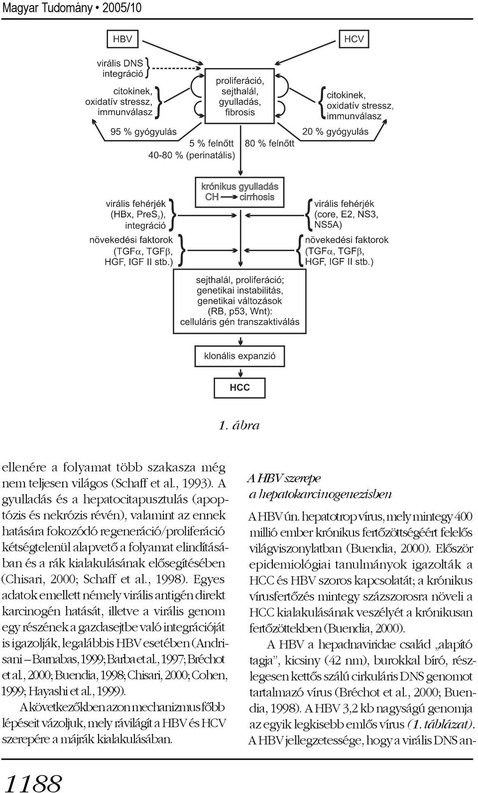 kialakulásának elõsegítésében (Chisari, 2000; Schaff et al., 1998).