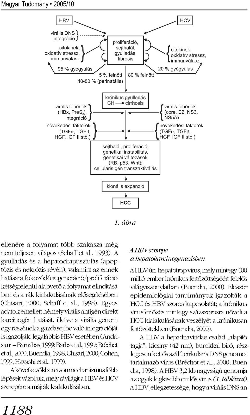 kialakulásának elõsegítésében (Chisari, 2000; Schaff et al., 1998).