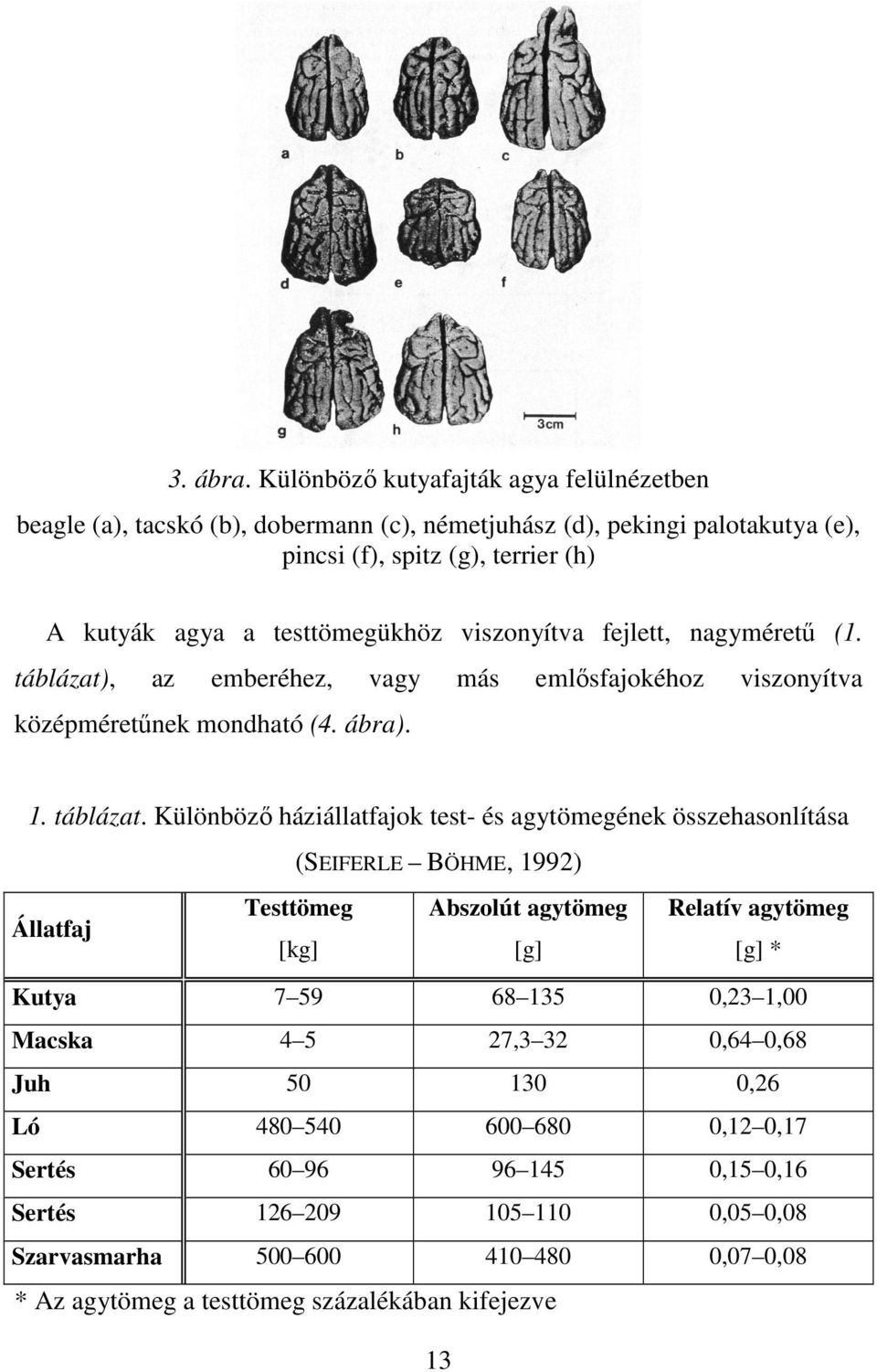 viszonyítva fejlett, nagymérető (1. táblázat)