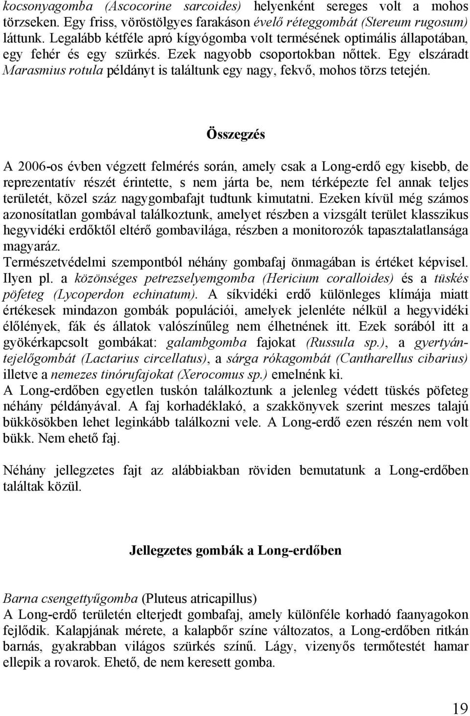 Egy elszáradt Marasmius rotula példányt is találtunk egy nagy, fekvő, mohos törzs tetején.