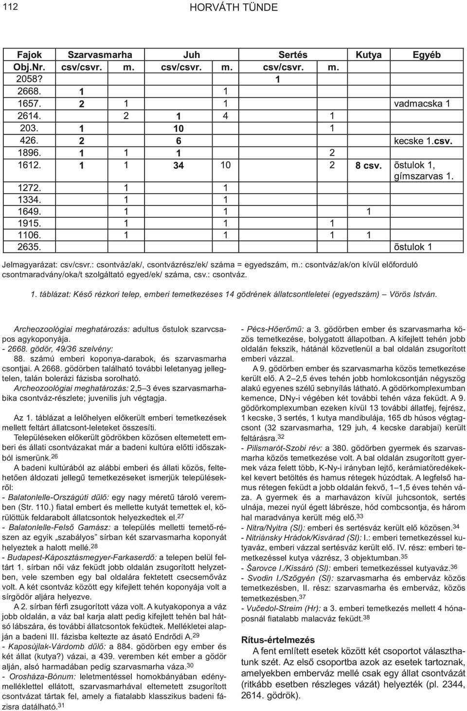 gödör, 49/36 szelvény: 88. számú emberi koponya-darabok, és szarvasmarha csontjai. A 2668. gödörben található további leletanyag jellegtelen, talán bolerázi fázisba sorolható.